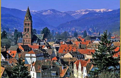 Nouveau-L'Alsakrat-au coeur de Munster - Foto 20