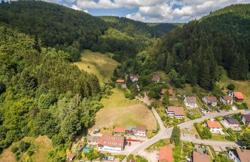 Gruppenunterkunft-Klein-Holland-Harz-aussergewoehnlich-und-einzigartig-mit-grossartiger-Unterhaltung-fuer-jedes-Alter-fuer-bis-zu-24-Personen - Foto 12