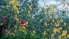 Apartments Relax Zone - Foto 2