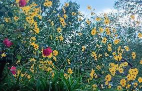 Apartments Relax Zone - Foto 2