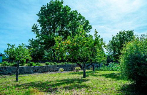 Casa da Guarda de Fora - Foto 53
