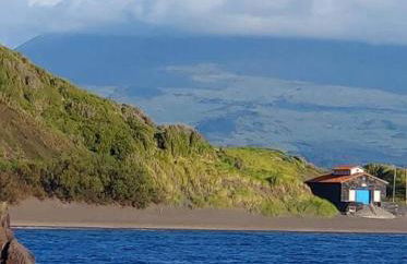 Casa das Palmeiras - Res. of Elizabete and Fatima - Foto 50