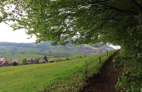 Familien-Appartement Schwarzwald bei Freiburg mit bis zu 4 Schlafzimmern - Foto 37