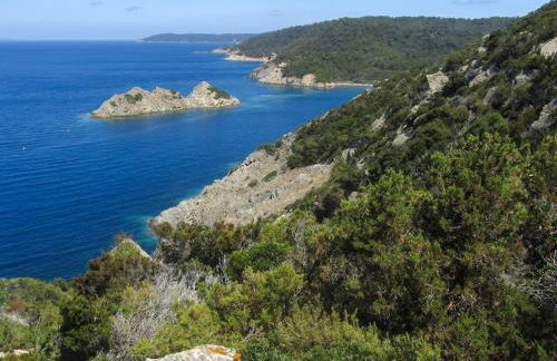 Authentique Villa le Cactus entièrement rénovée climatisée proche des plages du centre du Lavandou et du supermarché - Foto 64