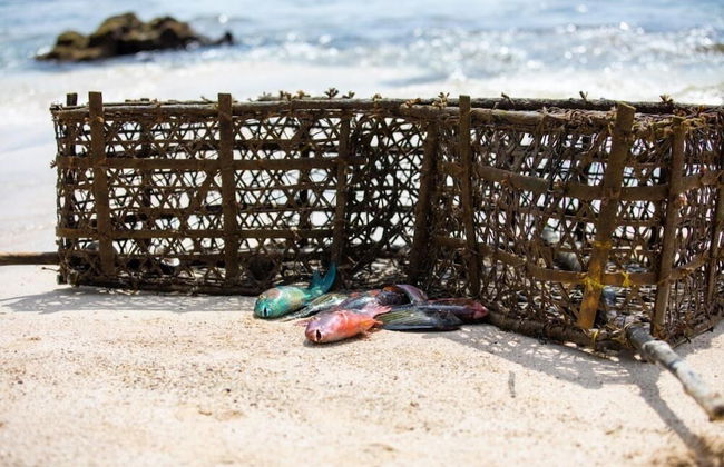 Domaine Desaubin Luxury Villas - Foto 30