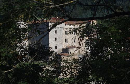 Château des Marcilly Talaru - Foto 22