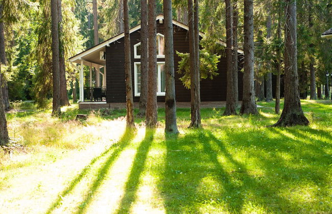 Tsarstvo Korolevstvo - Foto 4