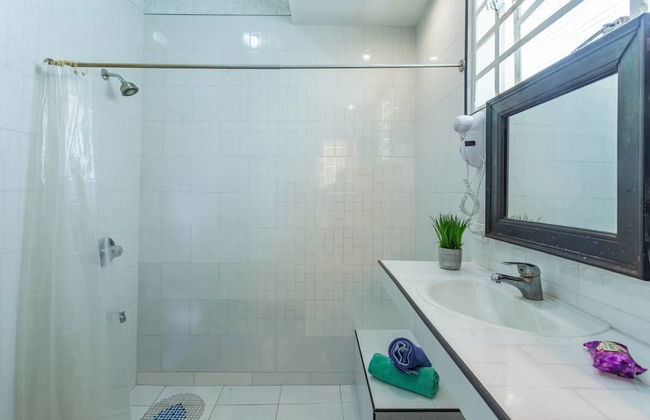 Boutique Vedado Villa - Photo 73