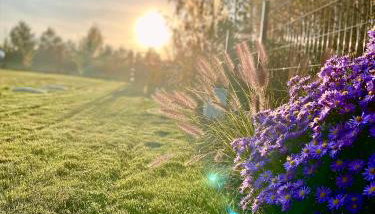 Mielno Woodhouse - Foto 5, Garden view