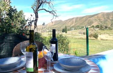 Cervantes 3 Mojacar Turre - Photo 41