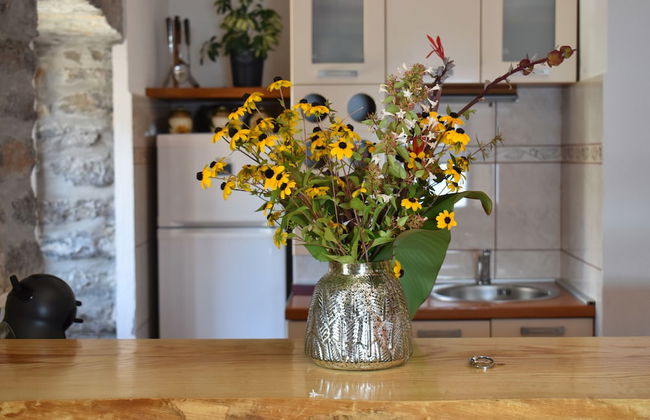 Apartments Villa Serventi - Foto 44