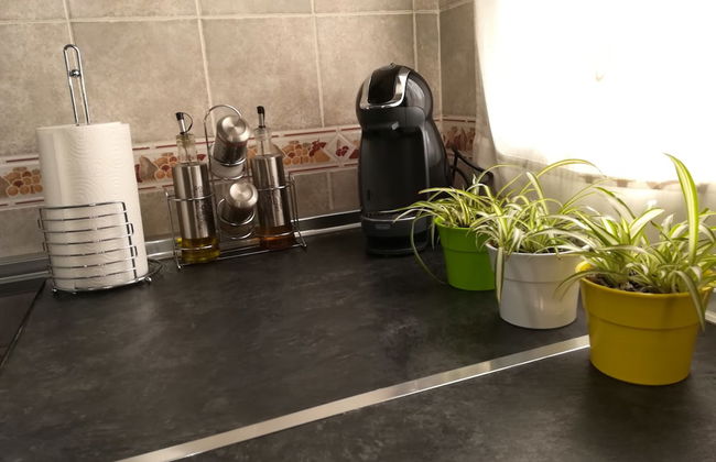 La Casa de la Alcazaba - Foto 13