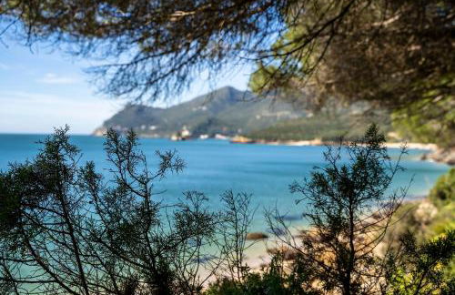 Arrábida Cozy House - Foto 66