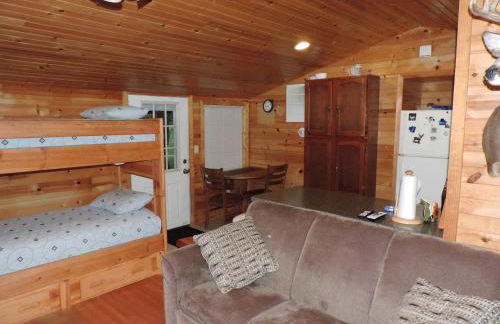 Rustic Cabin Rental Along the Wolf River in Fremont, Wisconsin - Foto 7