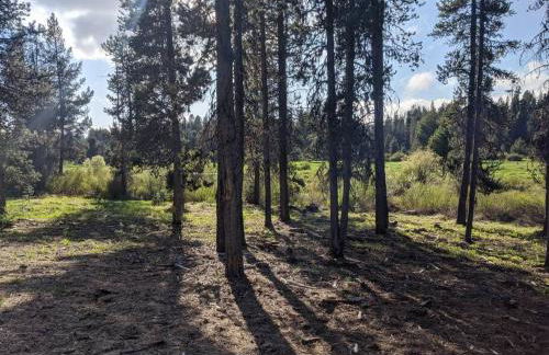 Wild Woods - Cascades Riverside Retreat - Foto 7