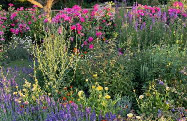 Old Hunstanton luxury by the sea - Foto 24