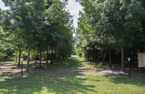 Casolare La Quercia - Foto 20