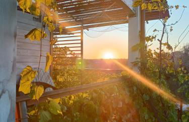 La Casa tra gli Ulivi - Cottage in legno - Foto 22