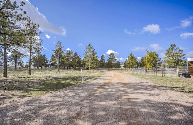 3BD Barndominium🐎 Ranch Experiencefoosball Snow Shoeswinter Trails - Foto 18