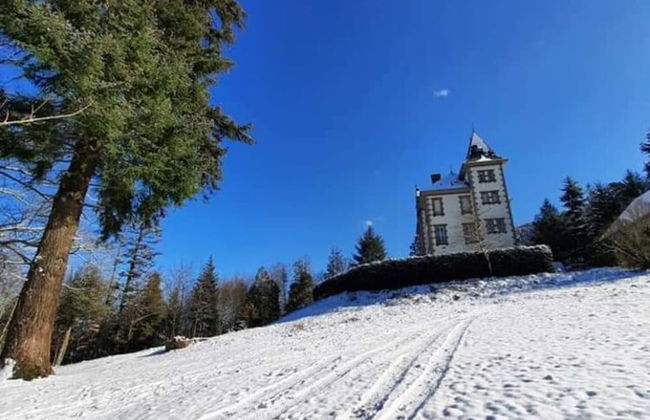 House in Vosges Near Forest and Hiking Trails - Photo 34