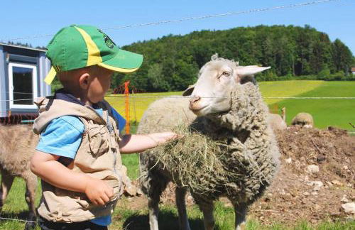 Wunderwelt Betzenstein familiär-ländlich-modern - Foto 21