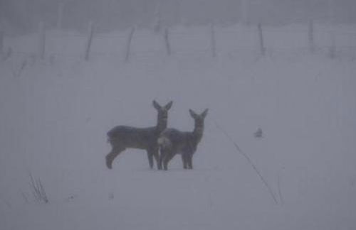 Gîte nature & confort rénové, Plateau des 1000 étangs - WIFI, parking - FR-1-583-302 - Foto 10