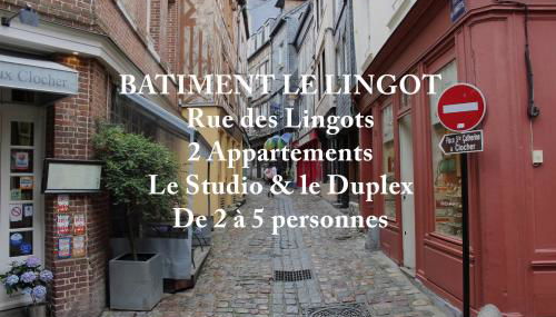 Les Maisons de Maje - Le Lingot - Foto 2