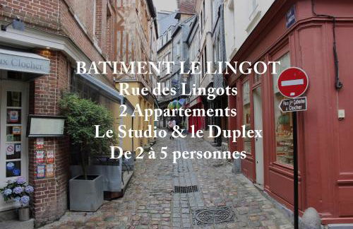 Les Maisons de Maje - Le Lingot - Foto 2