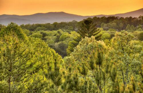 Sweet Seclusion Firepit king suite serene outdoor spaces - Foto 25