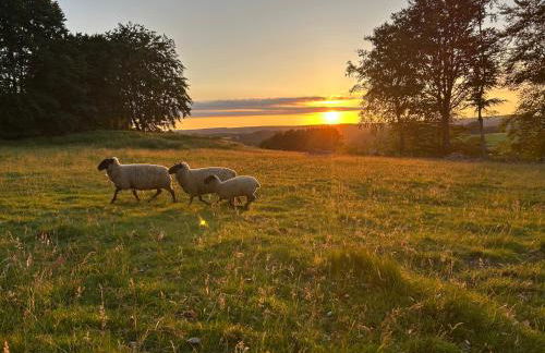 FerienLoft Eifeel Good - Natururlaub in Monschau - Foto 18