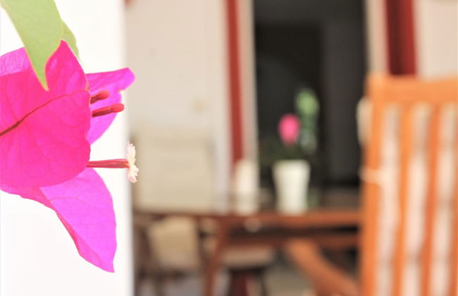 Rootop Villa - Chalet en Cabo Pino con vistas al mar, jardines y piscina - Foto 13