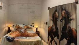 Recanto do sossego - Foto 3