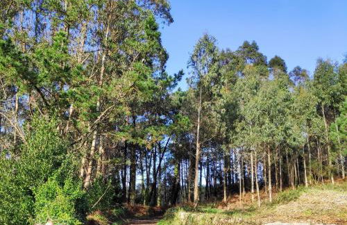 Raio do Sol - Apartamento Turístico - Foto 25