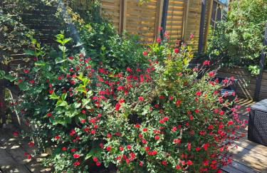 Circuit Paul Ricard Chalet au Castellet - Foto 4