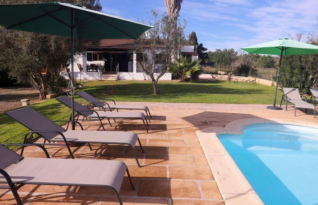 Finca ES Torrent Paz y Tranquilidad - Foto 15