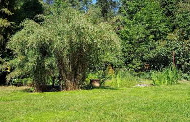 Ferienhaus Fichtenwalde, 160qm, 3SZ, 2BD, Küche, VDSL - Photo 24