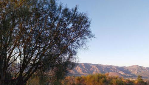 Il Calice dell'Etna - Foto 4