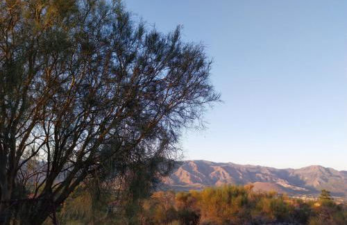 Il Calice dell'Etna - Foto 4