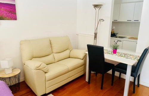 Nova Galerija Studio Ema i Apartman Anita- parking in garage - Foto 21