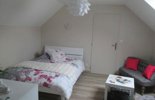 Studio & Gîte Zen de Beauval- 800 m du Zooparc - Photo 20