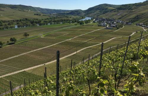 Ferienhaus Mathy - Foto 36