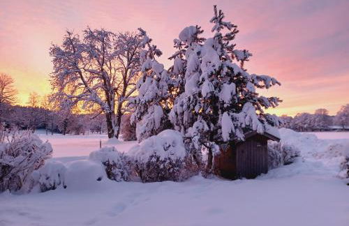 Ferienwohnung Oberlinner - Foto 3