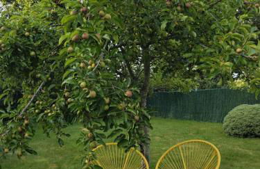 Spacieux Chalet en Bois Massif au coeur du Finistère - Foto 25