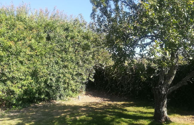 Vila Sorriso - Foto 62