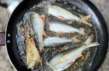 Osada Stepno - Foto 53