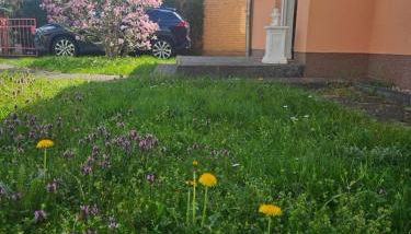 Cozy house and free parking - Foto 4