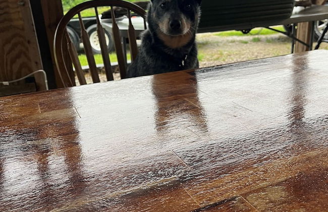 Cozy Cabin - Foto 11