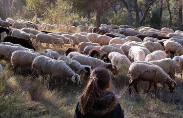 MASÍA de SAN JUAN CASA NÚMERO 15 en Castillo con piscina, Aire Acondicionado y terraza privada - Photo 30