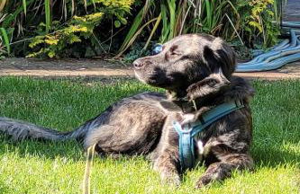 Holiday Home Finnhaus by Interhome - Foto 4