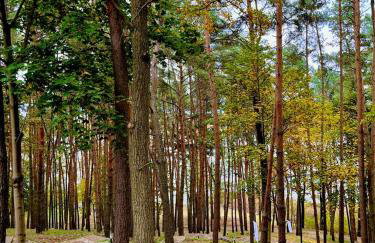 Apartament nad Zalewem Zegrzyńskim - Foto 14